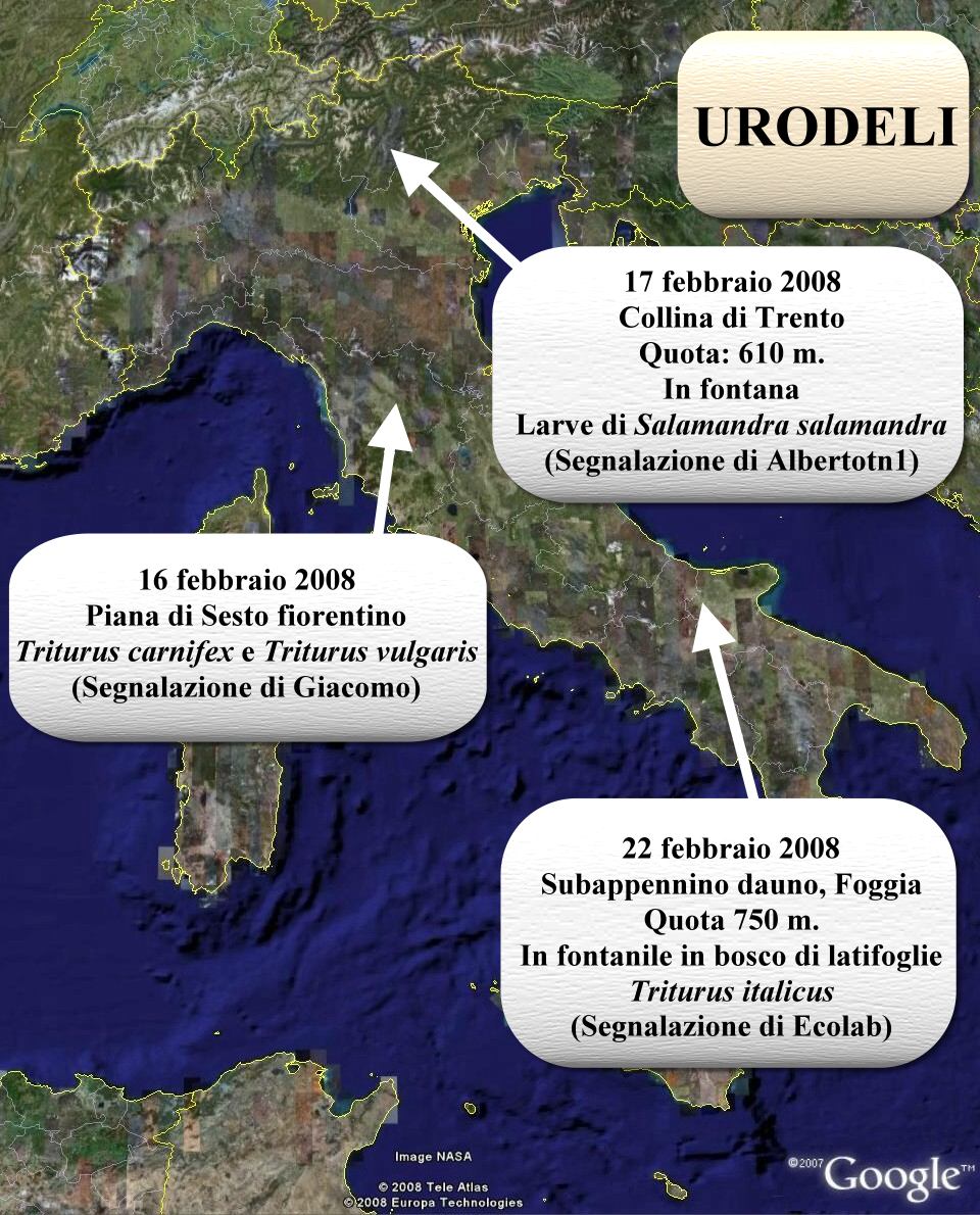 Avvistati Anfibi? Dove? Quando?